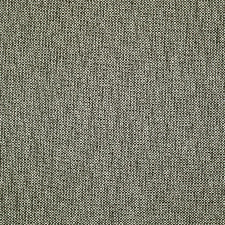 Light Year # 213 Griffin by Maxwell Designer Fabric 100% POLYESTER CHINA 56" - Swanky Fabrics -