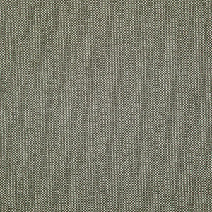 Maxwell Fabric Light Year # 213 Griffin