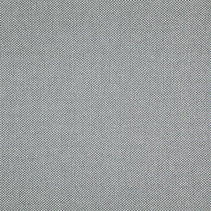 Maxwell Fabric Light Year # 215 Feather