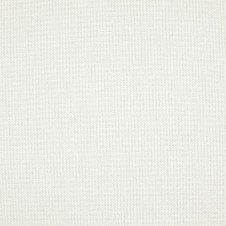 Light Year # 216 Swan by Maxwell Designer Fabric 100% POLYESTER CHINA 56" - Swanky Fabrics -