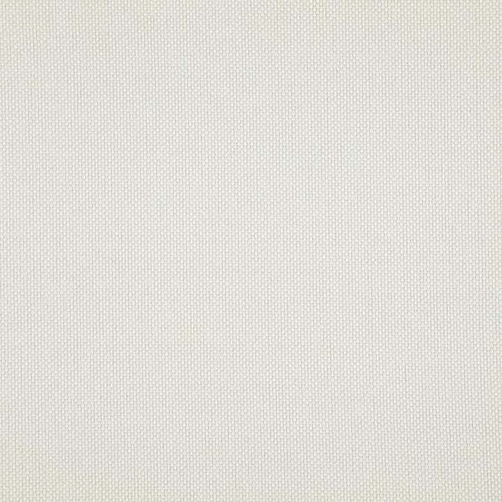 Light Year # 217 Parchment by Maxwell Designer Fabric 100% POLYESTER CHINA 56" - Swanky Fabrics -