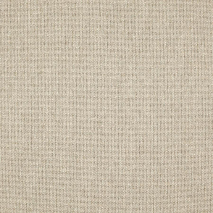 Light Year # 220 Raffia by Maxwell Designer Fabric 100% POLYESTER CHINA 56" - Swanky Fabrics -