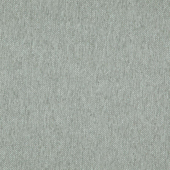 Light Year # 222 Botanical by Maxwell Designer Fabric 100% POLYESTER CHINA 56" - Swanky Fabrics -
