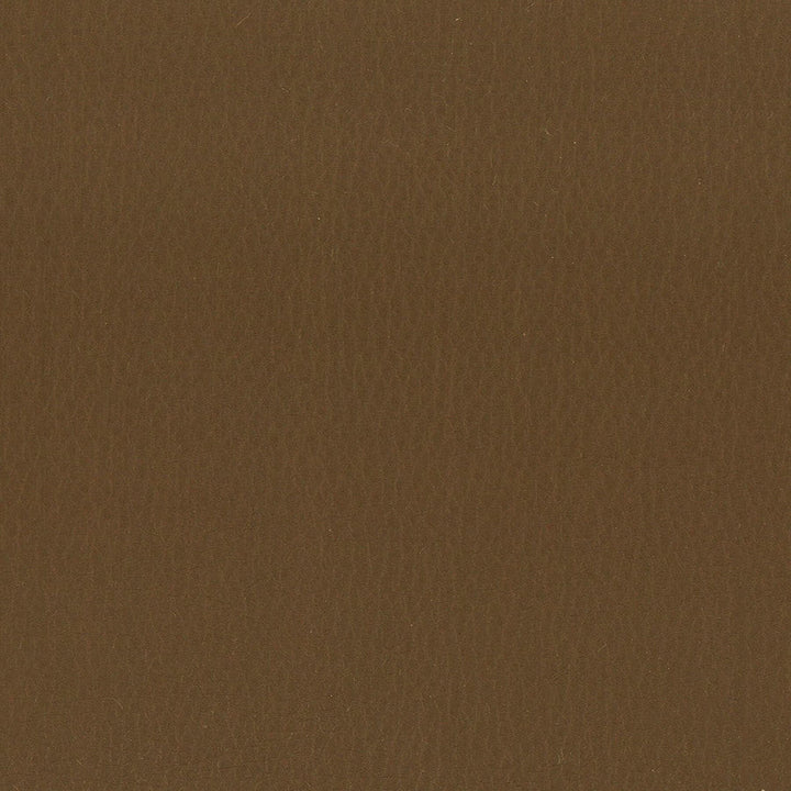 Lodge 12 Walnut by Stout Fabric Stout Fabric Lodge 12 WalnutFabric LEATHER LOOKS III PERFORMANCE CHINA </p><p>Repeat: H: 0.000, V: 0.000 54 in - Fabric Carolina -
