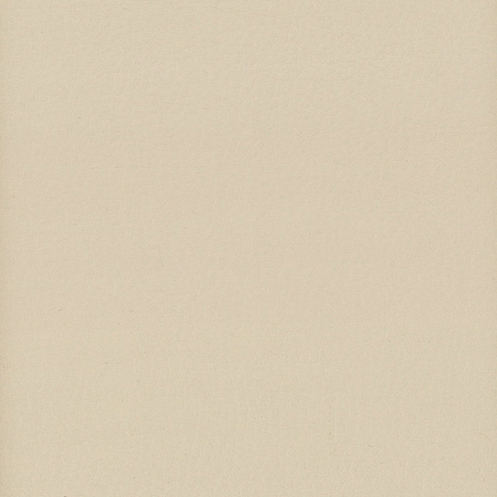 Lodge 16 Taupe by Stout Fabric Stout Fabric Lodge 16 TaupeFabric LEATHER LOOKS III PERFORMANCE 100%POU CHINA </p><p>Repeat: H: 0.000, V: 0.000 54 in - Fabric Carolina -