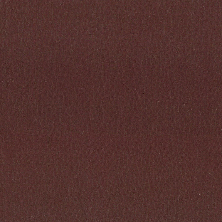 Lodge 1 Cordovan by Stout Fabric Stout Fabric Lodge 1 CordovanFabric LEATHER LOOKS III PERFORMANCE 100%POU CHINA </p><p>Repeat: H: 0.000, V: 0.000 54 in - Fabric Carolina -