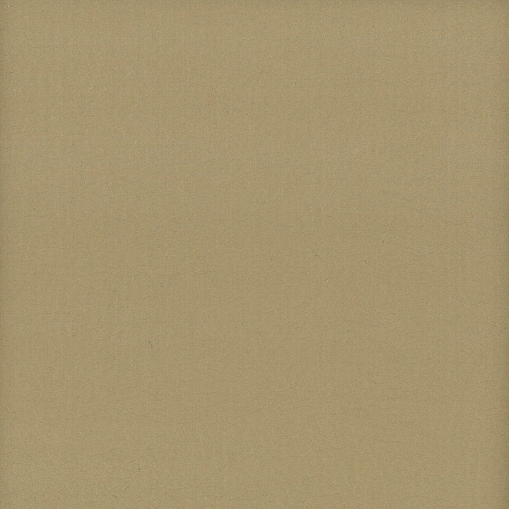 Lodge 6 Khaki by Stout Designer Fabric LEATHER LOOKS III PERFORMANCE 100%POU CHINA FLAME RETARDANT-U.F.A.C. CLASS 1 FLAME RETARDANT-N.F.P.A. 260A CLASS 1 FLAME RETARDANT-FMVSS 302 PERFORMANCE RATED FABRIC WYZENBEEK 500 000 DOUBLE RUB WEAR TEST(EXTREMELY HEAVY DUTY) CATB 117-2013 Horizontal: 0 and Vertical: 0 54 in - Swanky Fabrics -