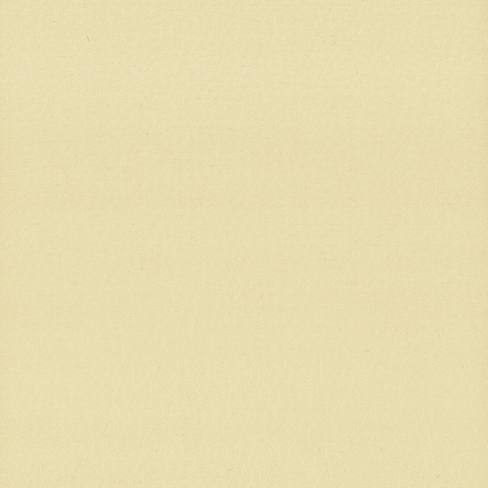 Lodge 9 Chamois by Stout Designer Fabric Leather Looks Iii Performance 100% Polyurethane CHINA FLAME RETARDANT-U.F.A.C. CLASS 1 (OR A) FLAME RETARDANT-N.F.P.A. 260A CLASS 1 FLAME RETARDANT-FMVSS 302 PERFORMANCE RATED FABRIC WYZENBEEK 500 000 DOUBLE RUB WEAR TEST(EXTREMELY HEAVY DUTY) CATB 117-2013 Horizontal: 0 and Vertical: 0 54 in - Swanky Fabrics -
