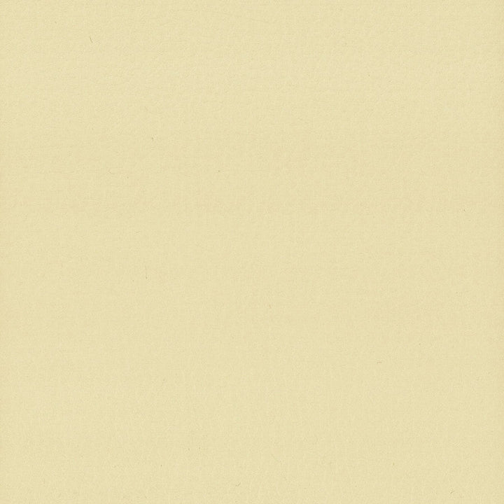 Lodge 9 Chamois by Stout Designer Fabric LEATHER LOOKS III PERFORMANCE 100%POU CHINA FLAME RETARDANT-U.F.A.C. CLASS 1 FLAME RETARDANT-N.F.P.A. 260A CLASS 1 FLAME RETARDANT-FMVSS 302 PERFORMANCE RATED FABRIC WYZENBEEK 500 000 DOUBLE RUB WEAR TEST(EXTREMELY HEAVY DUTY) CATB 117-2013 Horizontal: 0 and Vertical: 0 54 in - Swanky Fabrics -
