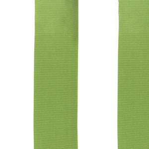 SolarShade Fabric Lanai 21 Fern