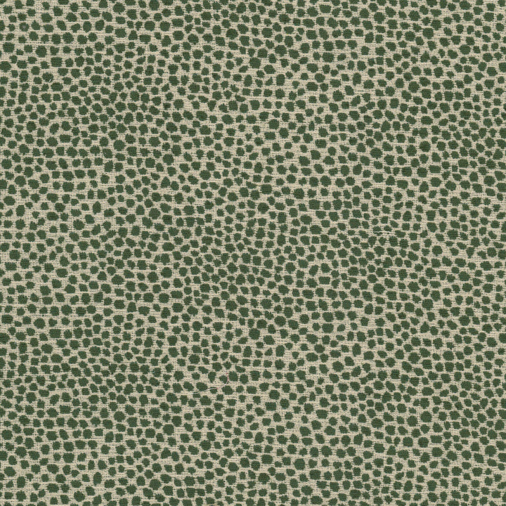Lollypop 3 Bottle by Stout Fabric Stout Fabric Lollypop 3 BottleFabric COMFORTABLE LIVING SAGE/MOSS 100%POL CHINA </p><p>Repeat: H: 13.750, V: 7.000 55.5 in - Fabric Carolina -