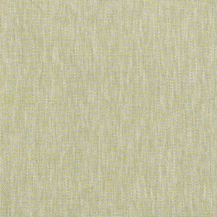 Lombardy 2 Citrine by Stout Designer Fabric COMFORTABLE LIVING SPRING/MOSS 79%POL 21%COT INDIA PERFORMANCE RATED FABRIC FLAME RETARDANT-U.F.A.C. CLASS 1 FLAME RETARDANT-N.F.P.A. 260A CLASS 1 CATB 117-2013 WYZENBEEK 47 000 DOUBLE RUB WEAR TEST (HEAVY DUTY) Horizontal: 0.000 and Vertical: 0.000 54 in - Swanky Fabrics -