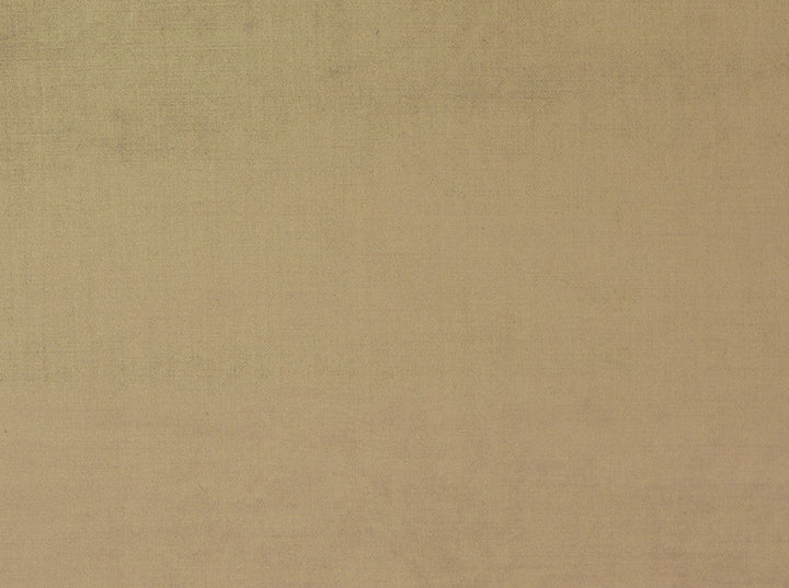 Lopez Vintage Gold 881 by Norbar Designer Fabric HEIRLOOM 100% POLYESTER CHINA 58 - Swanky Fabrics -