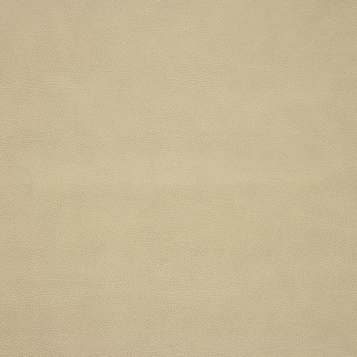 Loris-106 by Kravet Design Designer Fabric POLY VINYL CHLORIDE - 75%;POLYESTER - 16%;COTTON - 9% Korea, Republic of HEAVY Horizontal: 0 and Vertical: 0 54 - Swanky Fabrics -