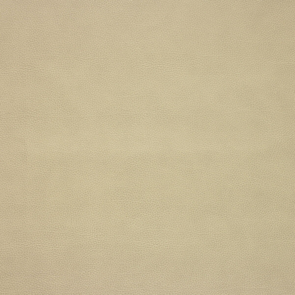 Loris-106 by Kravet Design Designer Fabric - POLY VINYL CHLORIDE - 75%;POLYESTER - 16%;COTTON - 9% Korea, Republic of HEAVY Horizontal: 0 and Vertical: 0 54 - Swanky Fabrics -