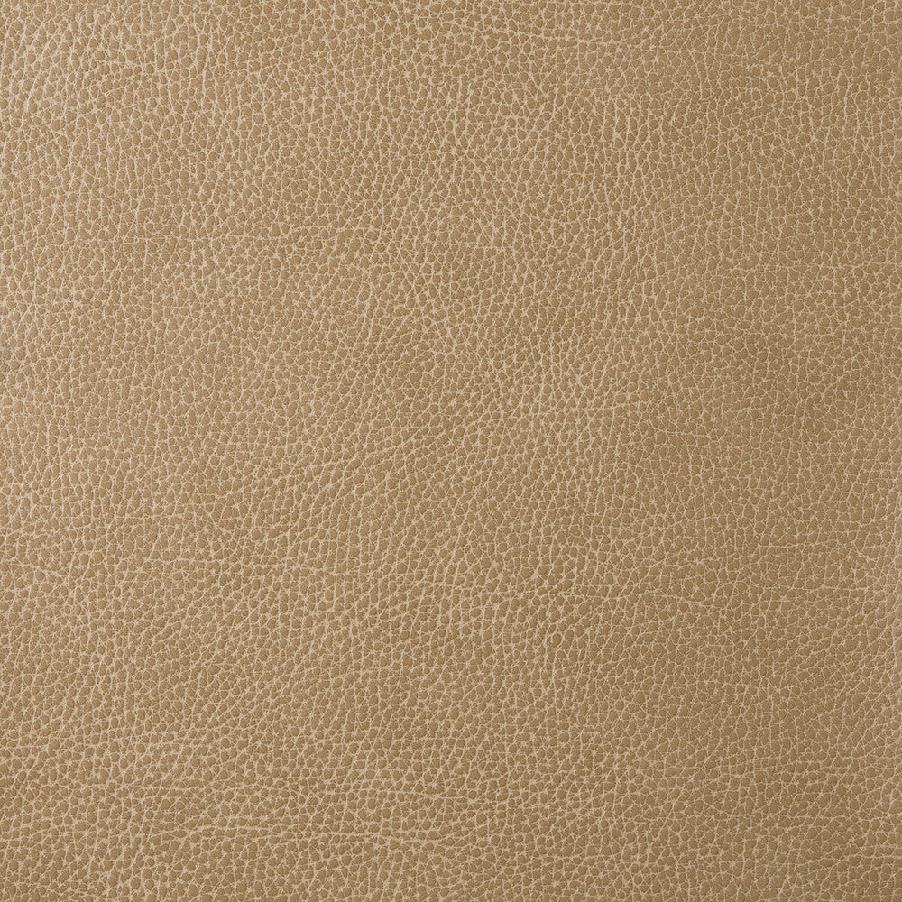 Loris-30 by Kravet Design Designer Fabric - POLY VINYL CHLORIDE - 75%;POLYESTER - 16%;COTTON - 9% Korea, Republic of HEAVY Horizontal: 0 and Vertical: 0 54 - Swanky Fabrics -