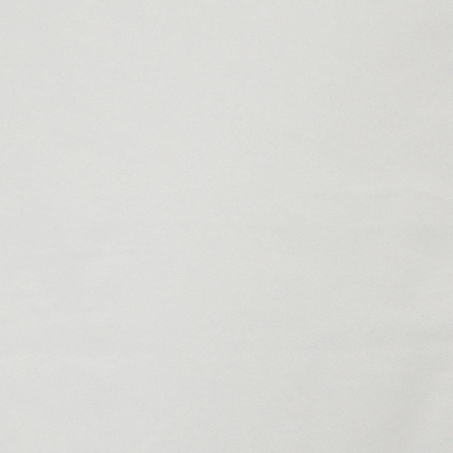 Laertes # 638 Snow by Maxwell Designer Fabric Sheer Textures 100% POLYESTER TURKEY 118" - Swanky Fabrics -