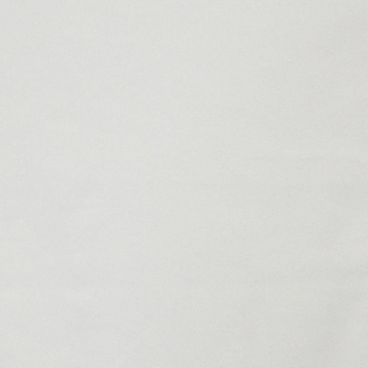 Laertes # 638 Snow by Maxwell Designer Fabric Sheer Textures 100% POLYESTER TURKEY 118" - Swanky Fabrics -
