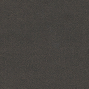 Maxwell Fabric Levant-Nj # 1176 Graphite