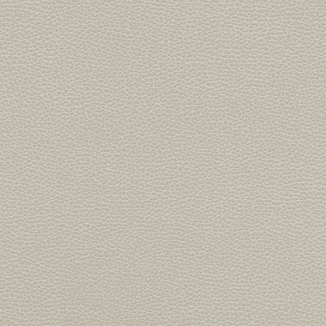 Levant-Nj # 1179 Cloud by Maxwell Designer Fabric Memos Only-Coated Fabrics FACE: 100% PVC
BACKING: 100% POLYESTER VIETNAM 54" - Swanky Fabrics -