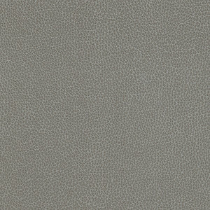 Maxwell Fabric Levant-Nj # 1182 Cirrus