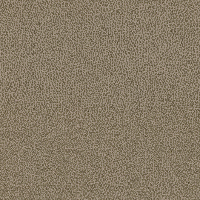 Levant-Nj # 1184 Earth by Maxwell Designer Fabric Memos Only-Coated Fabrics FACE: 100% PVC
BACKING: 100% POLYESTER VIETNAM 54" - Swanky Fabrics -