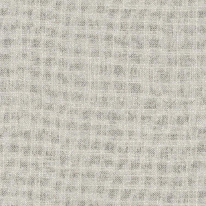 Lorenzo # 165 Dune by Maxwell Designer Fabric Wide Width Basics Iii 100% RECYCLED POLYESTER INDIA 118" - Swanky Fabrics -