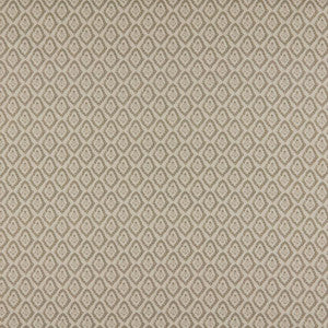 Maxwell Fabric Lottie # 549 Earth