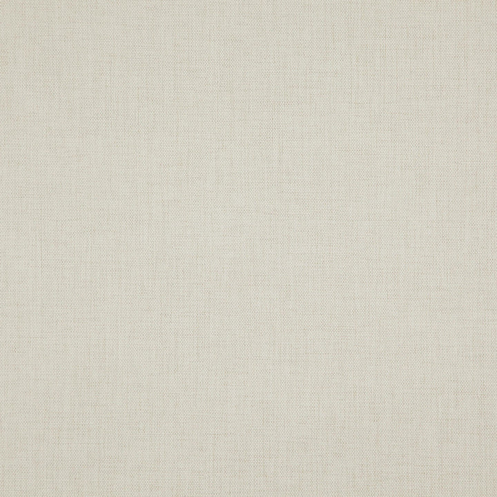 LUCAS 91J8291 by JF Designer Fabric Veryday Presto Fibrguard 100% Polyester China  Horizontal:  and Vertical:  55  - Swanky Fabrics -