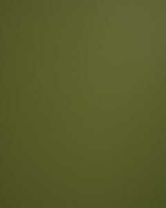 Norbar Fabric Lucky Aloe