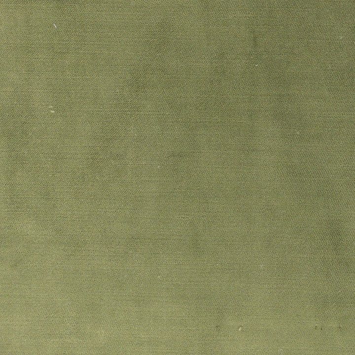 Luxor 3 Sage by Stout Fabric Stout Fabric Luxor 3 SageFabric RAINBOW LIBRARY PEAR/JUNGLE TURKEY </p><p>Repeat: H: 0.000, V: 0.000 55 in - Fabric Carolina -