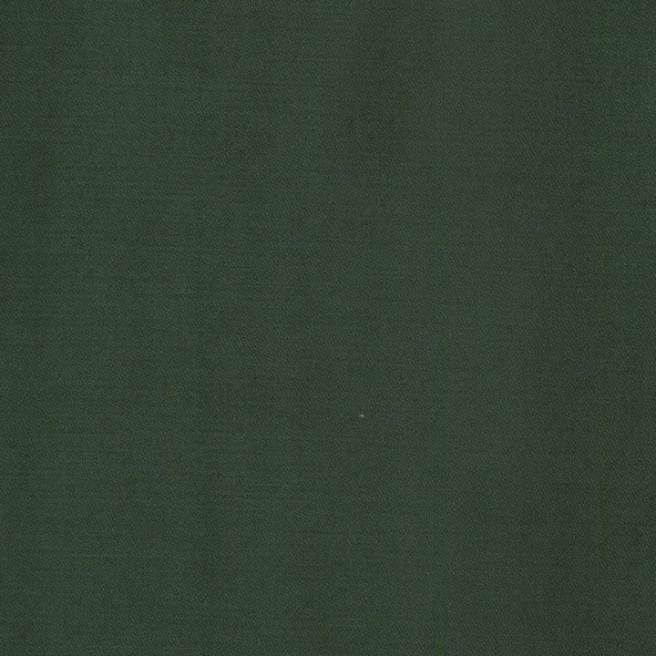 Luxor 8 Elm by Stout Fabric Stout Fabric Luxor 8 ElmFabric SOLID VELVETS PLUSH PALETTE 100%POL TURKEY </p><p>Repeat: H: 0.000, V: 0.000 55 in - Fabric Carolina -