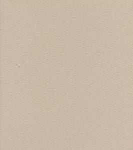 Luxor Doe by Norbar Designer Fabric LUXOR 100% COMBED COTTON INDIA 54 - Swanky Fabrics -