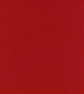 Luxor Raspberry by Norbar Designer Fabric LUXOR 100% COMBED COTTON INDIA 54 - Swanky Fabrics -