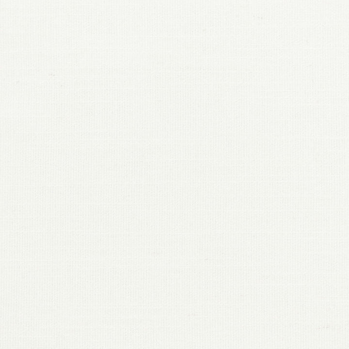 Luzon 6 Snow by Stout Fabric Stout Fabric Luzon 6 SnowFabric COLOR APPEAL 46%COT 35%POL 10%LIN 9%SVI INDIA </p><p>Repeat: H: 0.000, V: 0.000 55 in - Fabric Carolina -