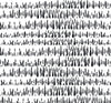 Seabrook Designs Fabric Brush Marks Fabric Black and White LW52100F