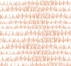 Seabrook Designs Fabric Brush Marks Fabric Orangesicle LW52106F