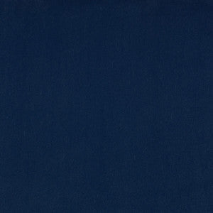 Kravet Fabric Guru 14
