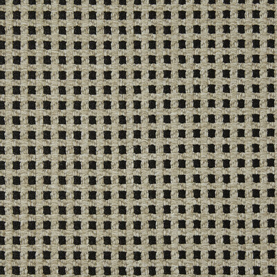 LZ-30336.00.0 by Kravet Fabric Kravet Fabric LZ-30336.00.0Fabric LIZZO INDOOR/OUTDOOR POLYPROPYLENE - 100% Italy </p><p>Repeat: H: 0.71, V: 0.71 55.12 - Fabric Carolina -