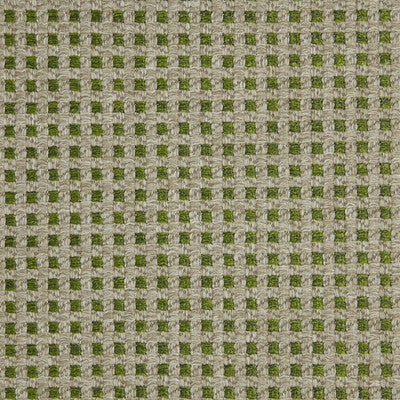 LZ-30336.03.0 by Kravet Fabric Kravet Fabric LZ-30336.03.0Fabric LIZZO INDOOR/OUTDOOR POLYPROPYLENE - 100% Italy </p><p>Repeat: H: 0.71, V: 0.71 55.12 - Fabric Carolina -