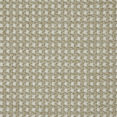 LZ-30336.07.0 by Kravet Fabric Kravet Fabric LZ-30336.07.0Fabric LIZZO INDOOR/OUTDOOR POLYPROPYLENE - 100% Italy </p><p>Repeat: H: 0.71, V: 0.71 55.12 - Fabric Carolina -
