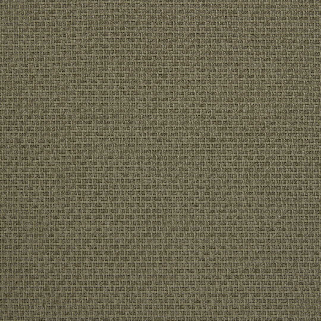 Kravet Design Fabric Lezna - 01