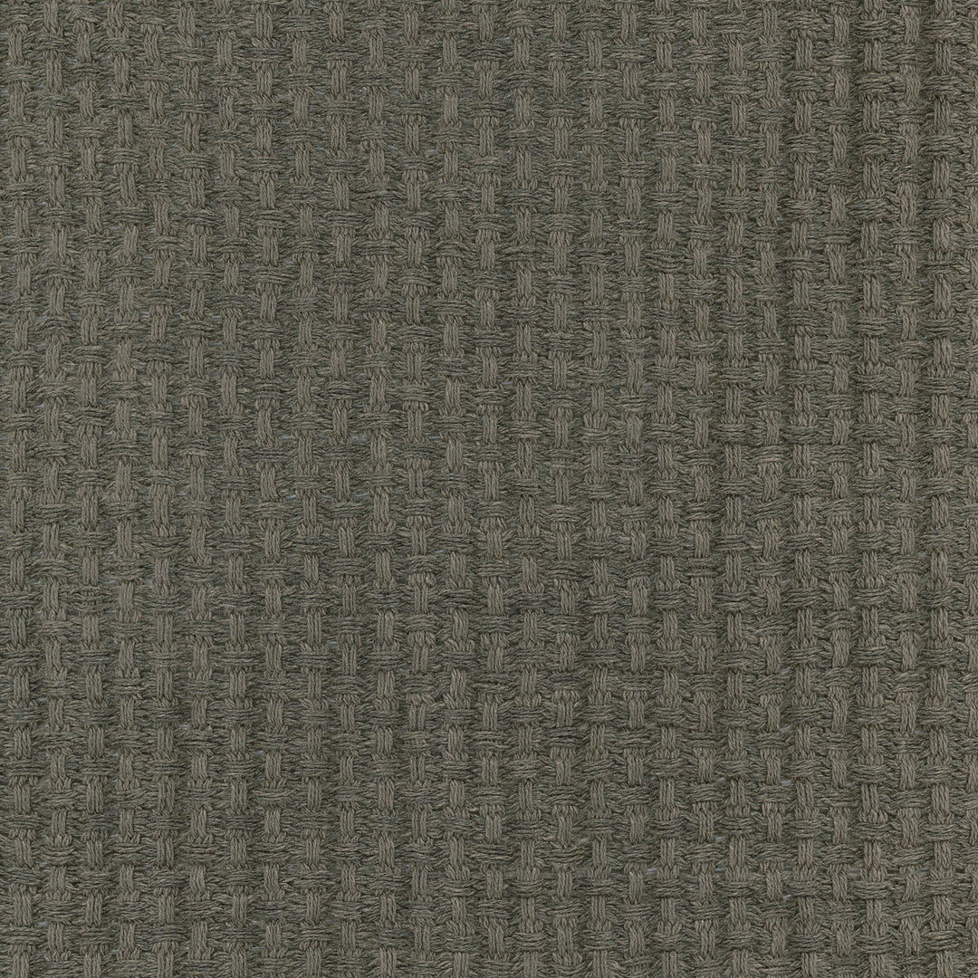 Kravet Couture Fabric Medea - 01