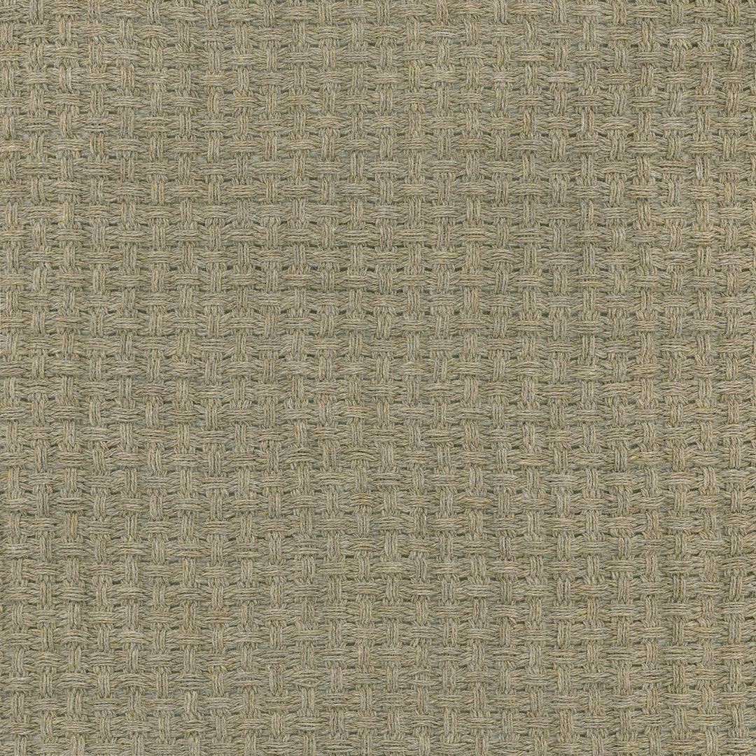 Kravet Couture Fabric Medea - 16