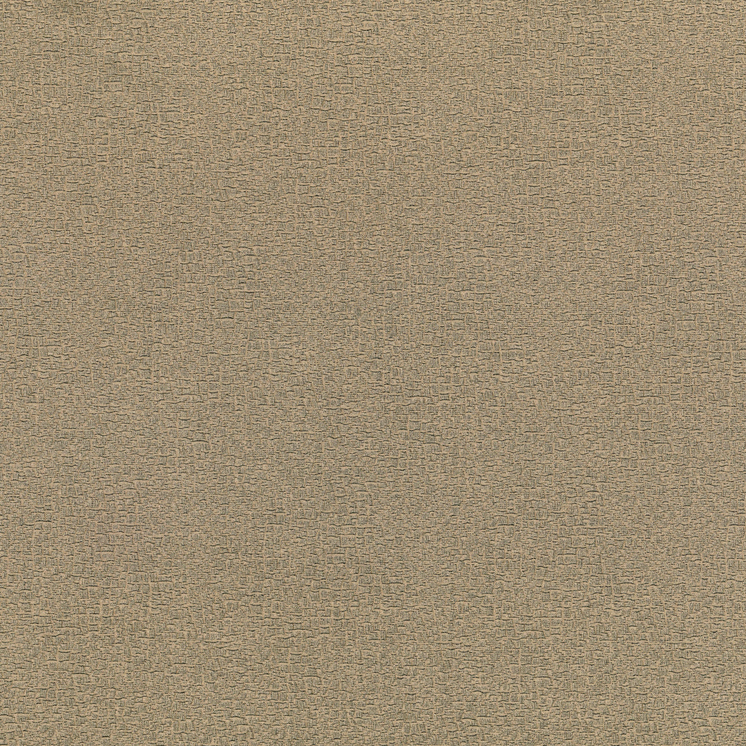Kravet Couture Fabric Elephas - 01
