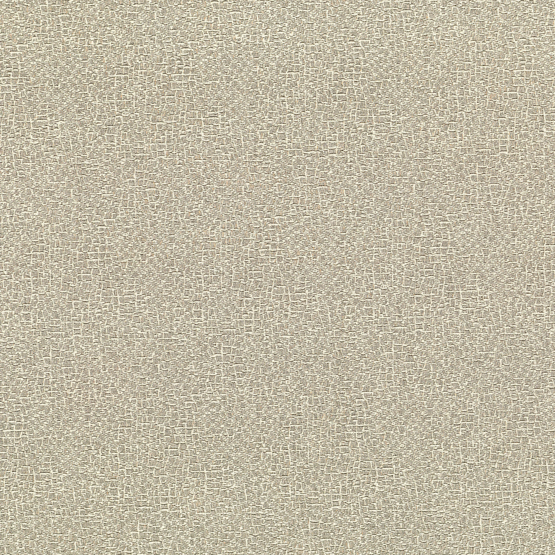 Kravet Couture Fabric Elephas - 06