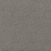 Kravet Couture Fabric Elephas - 09