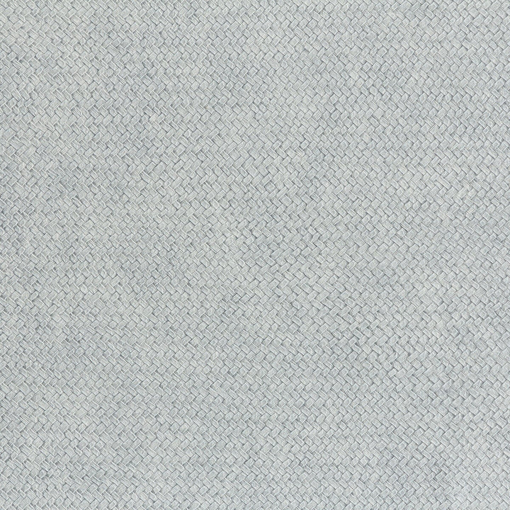 Cesto 9 by Kravet Design Designer Wallcovering LIZZO SYNTHETIC - 80%;NATURAL PRODUCTS - 20% Spain Horizontal: 27.5 and Vertical: 27.5 27.5 - Swanky Fabrics -