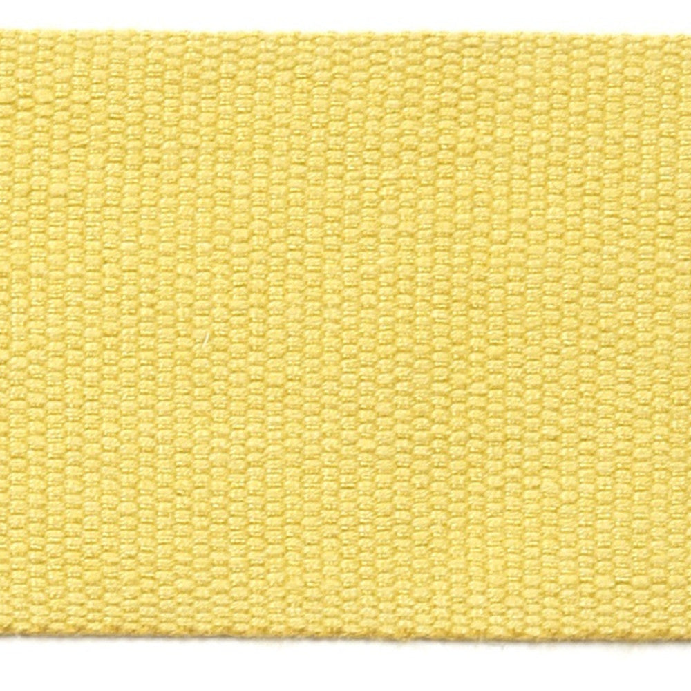 Le Lin 2 Tape Gold by Europatex Designer Fabric Le Lin 63% Linen, 37% Rayon 2.00 inches - Swanky Fabrics -