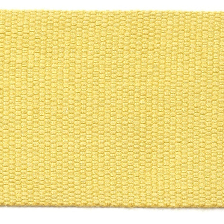Le Lin 2 Tape Gold by Europatex Designer Fabric Le Lin 63% Linen, 37% Rayon 2.00 inches - Swanky Fabrics -